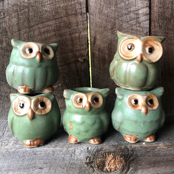 NWB owl 🦉 succulent plant pots